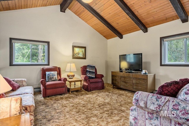 108 Panorama Dr, Cascade, ID 83611 - carpeted living room featuring wood ceiling