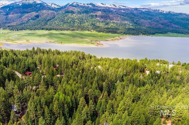 108 Panorama Dr, Cascade, ID 83611 - mountain view featuring a forest and a nearby body of water