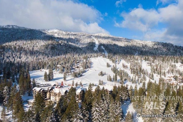 property view of mountains