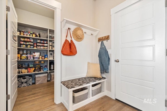 mudroom with light wood-type flooring