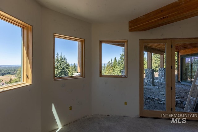 carpeted empty room with a healthy amount of sunlight and vaulted ceiling