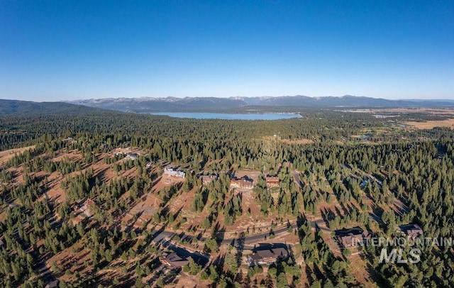 bird's eye view with a mountain view