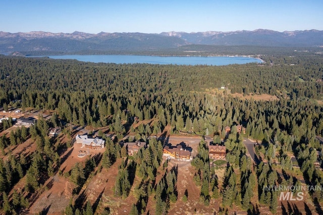 drone / aerial view featuring a water and mountain view