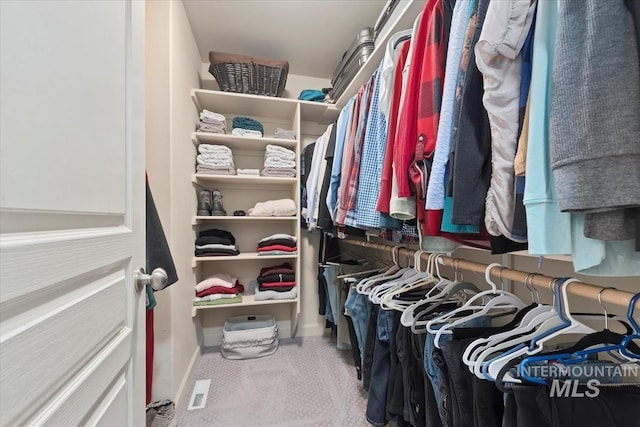 view of spacious closet