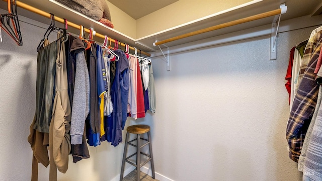 161 S Baraya Way, Meridian, ID 83642 - view of spacious closet
