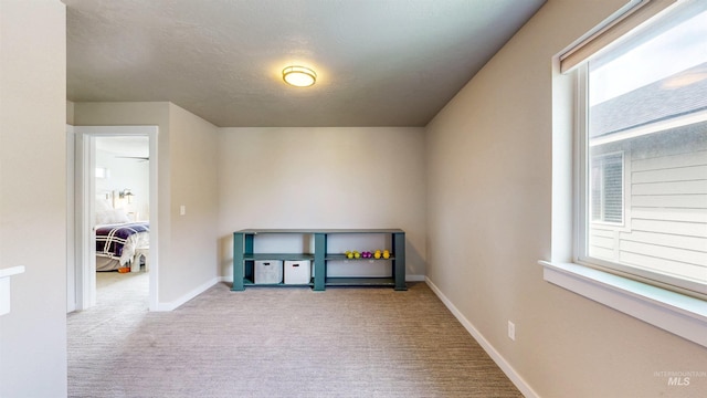 161 S Baraya Way, Meridian, ID 83642 - empty room featuring carpet flooring, healthy amount of natural light, and baseboards