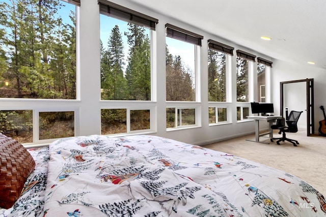 16 Grouse Rd, Idaho City, ID 83631 - view of carpeted bedroom