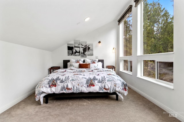 16 Grouse Rd, Idaho City, ID 83631 - bedroom featuring baseboards, vaulted ceiling, and carpet