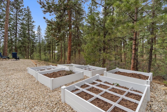 16 Grouse Rd, Idaho City, ID 83631 - view of yard with a garden and a forest view