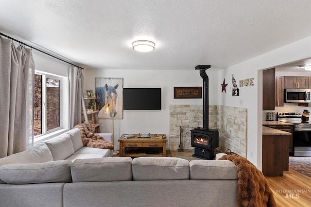 16 Grouse Rd, Idaho City, ID 83631 - living room with a wood stove and a textured ceiling