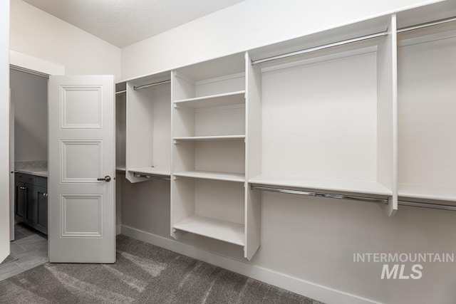 walk in closet with carpet floors