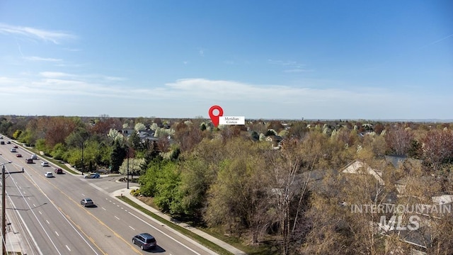 bird's eye view