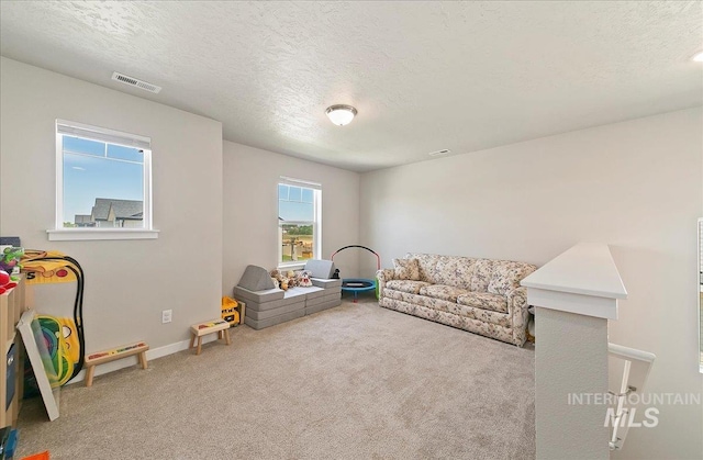 11299 W Taviton St, Nampa, ID 83651 - living room featuring carpet flooring, a textured ceiling, and baseboards
