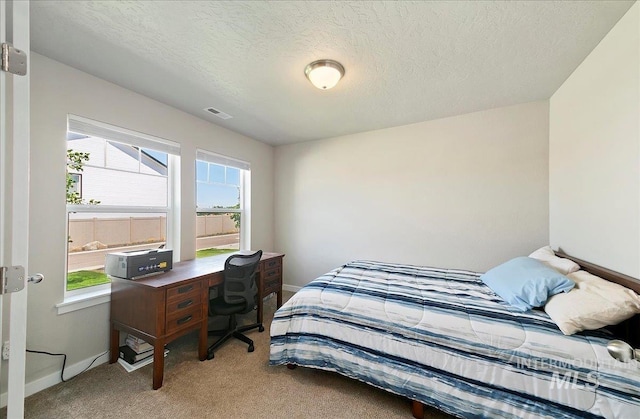 11299 W Taviton St, Nampa, ID 83651 - carpeted bedroom with multiple windows, baseboards, and a textured ceiling