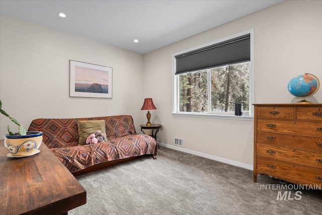 view of carpeted living room