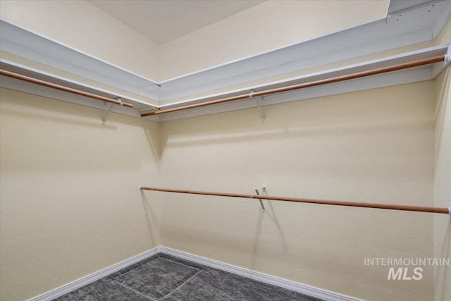 walk in closet with dark colored carpet