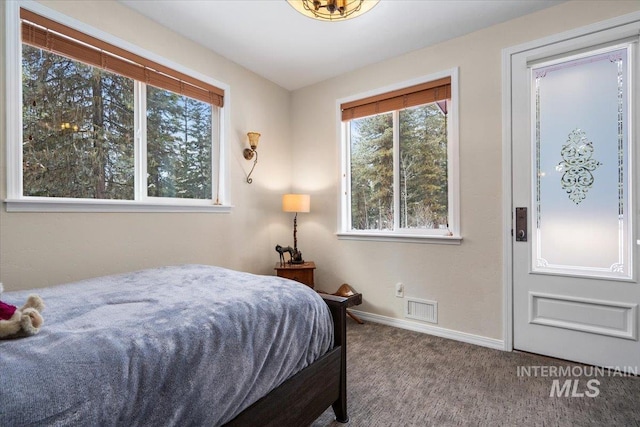 bedroom with carpet floors