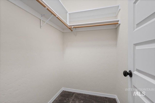 walk in closet featuring carpet flooring