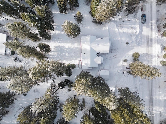 view of snowy aerial view