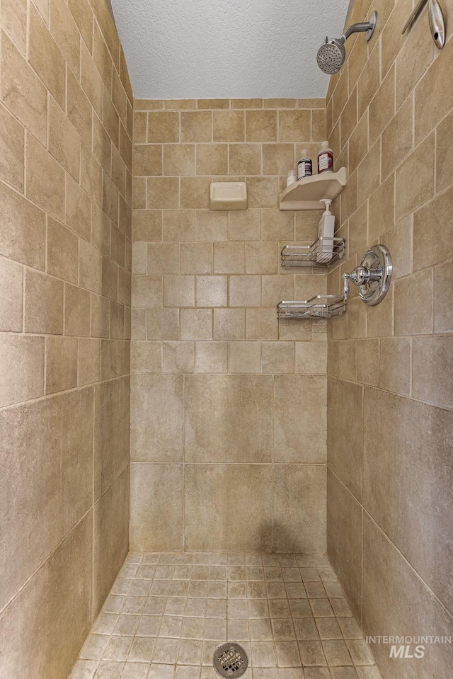 7 Golden Bench Ct, Donnelly, ID 83615 - bathroom with a tile shower and a textured ceiling