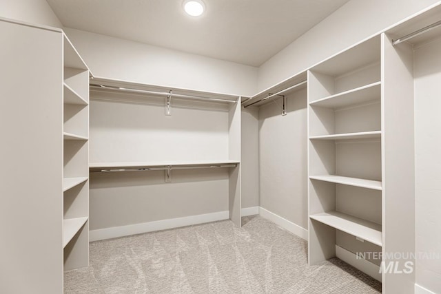 spacious closet featuring carpet flooring