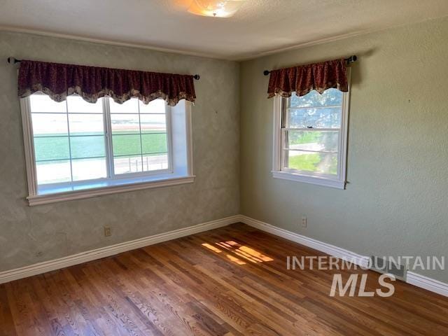 spare room featuring a wealth of natural light, wood finished floors, and baseboards