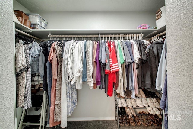 walk in closet featuring carpet floors