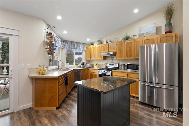 kitchen with appliances with stainless steel finishes, vaulted ceiling, a sink, dark stone counters, and under cabinet range hood