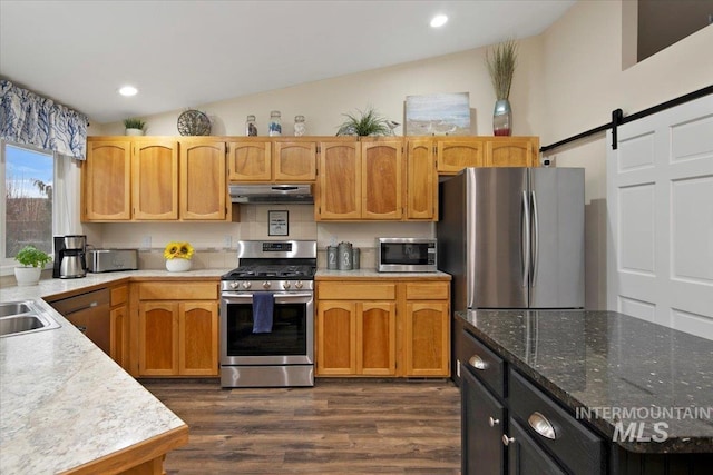 kitchen featuring dark wood-style flooring, a barn door, appliances with stainless steel finishes, vaulted ceiling, and under cabinet range hood