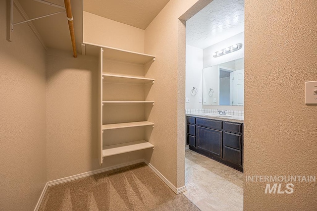 13513 Palm Bch, Caldwell, ID 83607 - walk in closet with a sink and light carpet