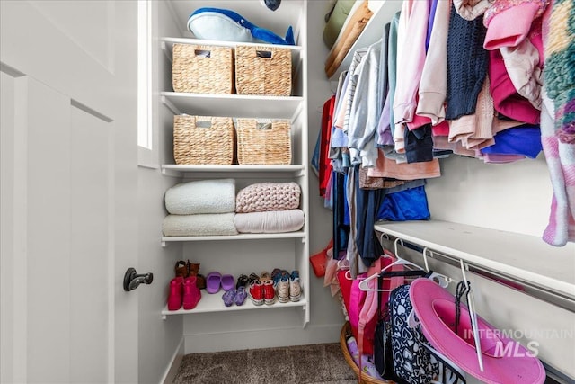 10935 Purple Sage Rd, Middleton, ID 83644 - spacious closet featuring carpet floors