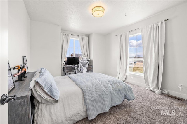 10935 Purple Sage Rd, Middleton, ID 83644 - carpeted bedroom featuring visible vents, multiple windows, a textured ceiling, and baseboards