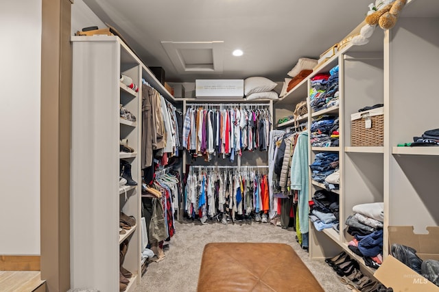 walk in closet featuring carpet floors