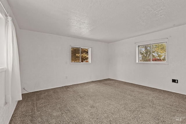 1402 Southside Blvd, Nampa, ID 83686 - spare room featuring carpet and a textured ceiling