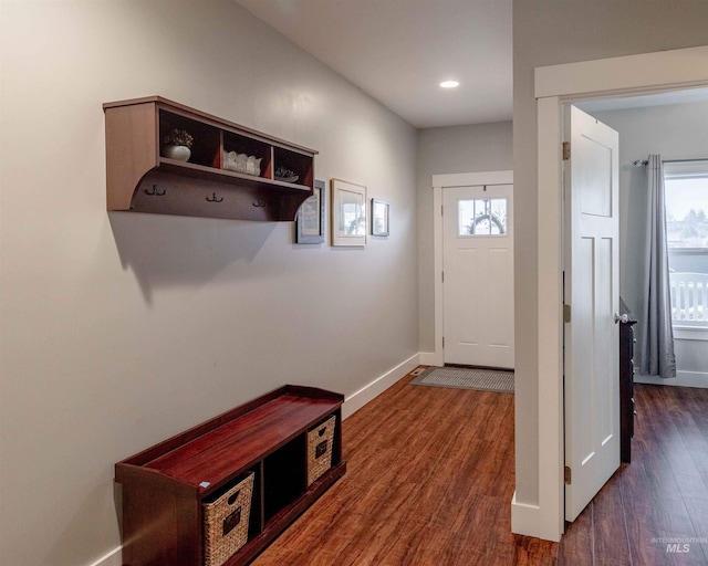 doorway with dark hardwood / wood-style flooring