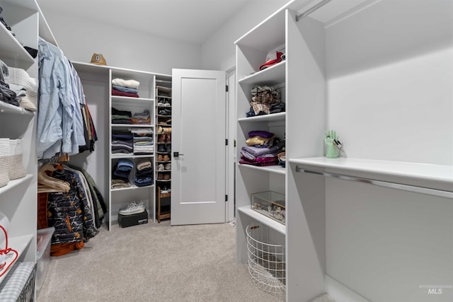 125 S Eagles Roost Way, Eagle, ID 83616 - walk in closet featuring carpet