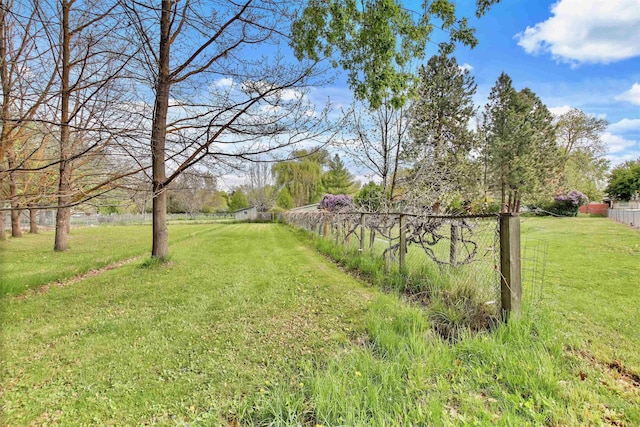view of yard featuring fence