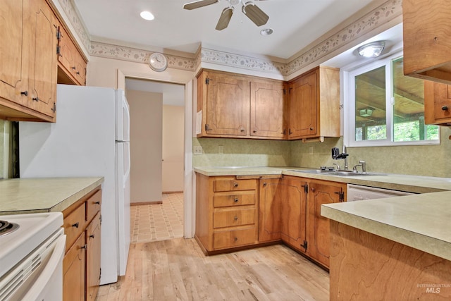 kitchen featuring light wood-type flooring, light countertops, a sink, and a ceiling fan