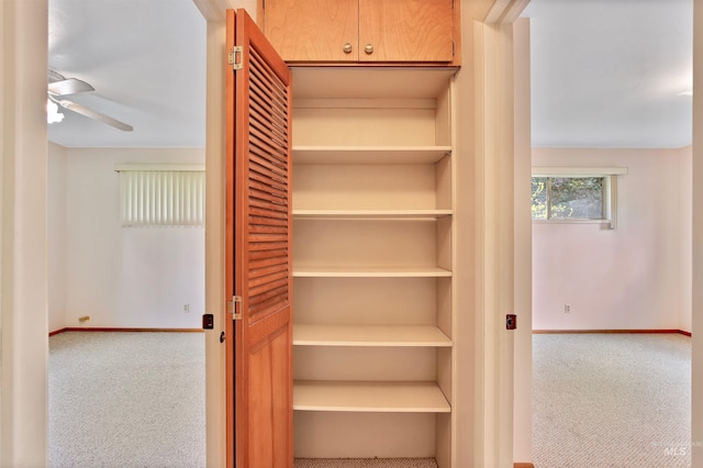 view of closet