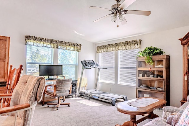 12 Blue Spruce Ct, Cascade, ID 83611 - exercise area with carpet and a ceiling fan