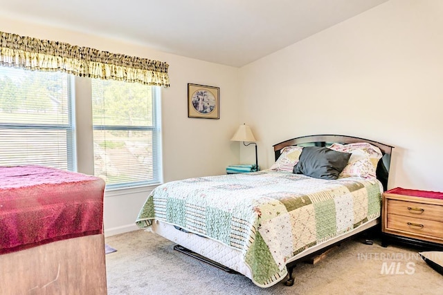 12 Blue Spruce Ct, Cascade, ID 83611 - bedroom with carpet flooring and baseboards