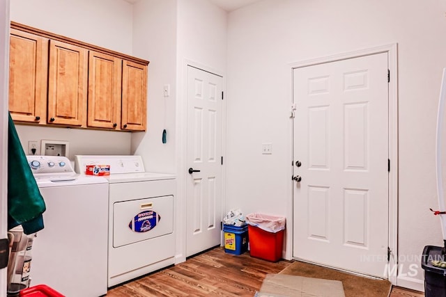 12 Blue Spruce Ct, Cascade, ID 83611 - laundry room featuring washer and clothes dryer, cabinet space, and light wood-type flooring