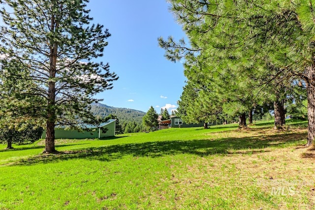 12 Blue Spruce Ct, Cascade, ID 83611 - view of grassy yard featuring a mountain view