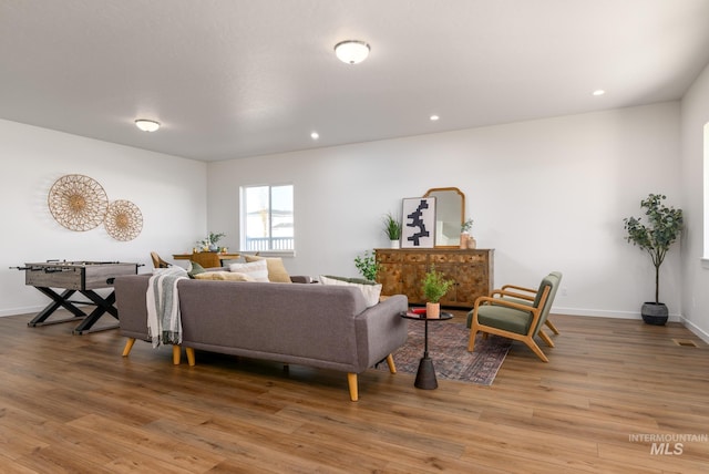 living room featuring hardwood / wood-style floors