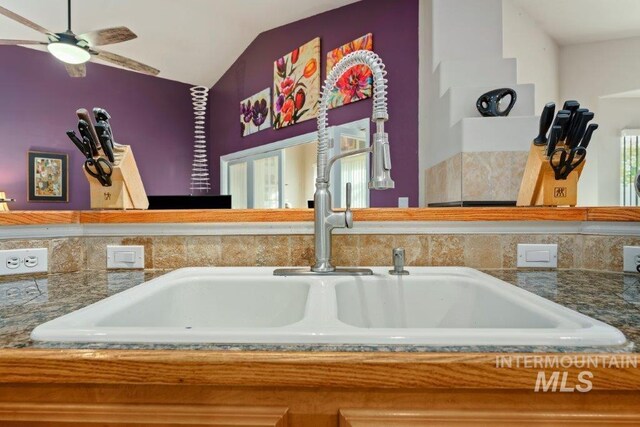 interior details with sink and ceiling fan