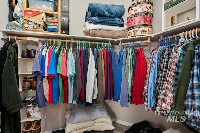 view of spacious closet