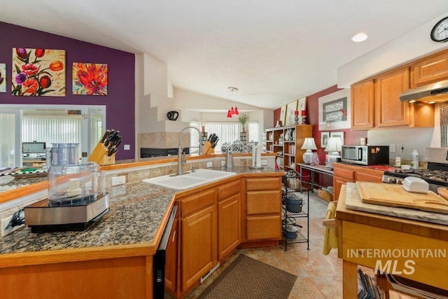 kitchen with lofted ceiling, range hood, appliances with stainless steel finishes, pendant lighting, and sink