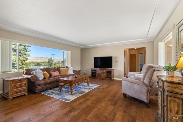 living room featuring dark hardwood / wood-style flooring