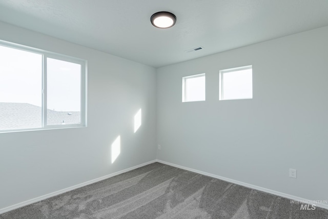 empty room featuring carpet floors