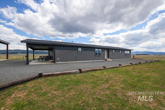 back of house with a patio area and a yard